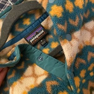 Patagonia Synchilla (rare/collectors print)